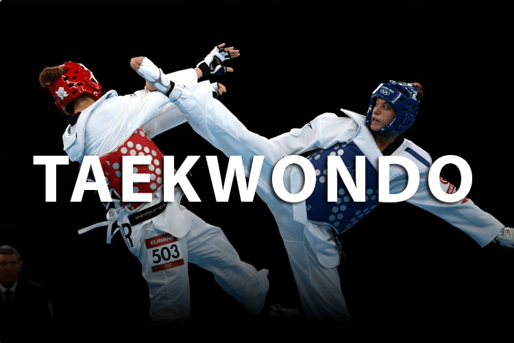 Taekwondo-ir-Hapkido-Akademija-1.jpg