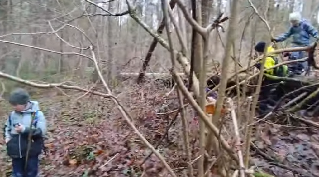 Lietuvos sporto klubai, centrai, bazės, užsiėmimai ir treneriai - viskas vienoje vietoje. Naujausia informacija apie klubus, klubų reitingai ir apžvalgos.