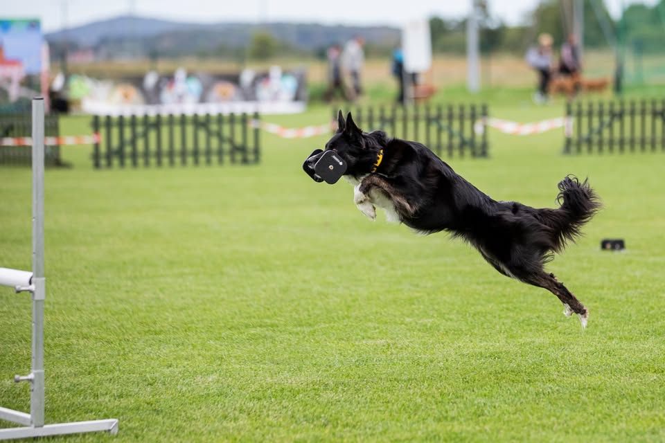 Lietuvos sporto klubai, centrai, bazės, užsiėmimai ir treneriai - viskas vienoje vietoje. Naujausia informacija apie klubus, klubų reitingai ir apžvalgos.