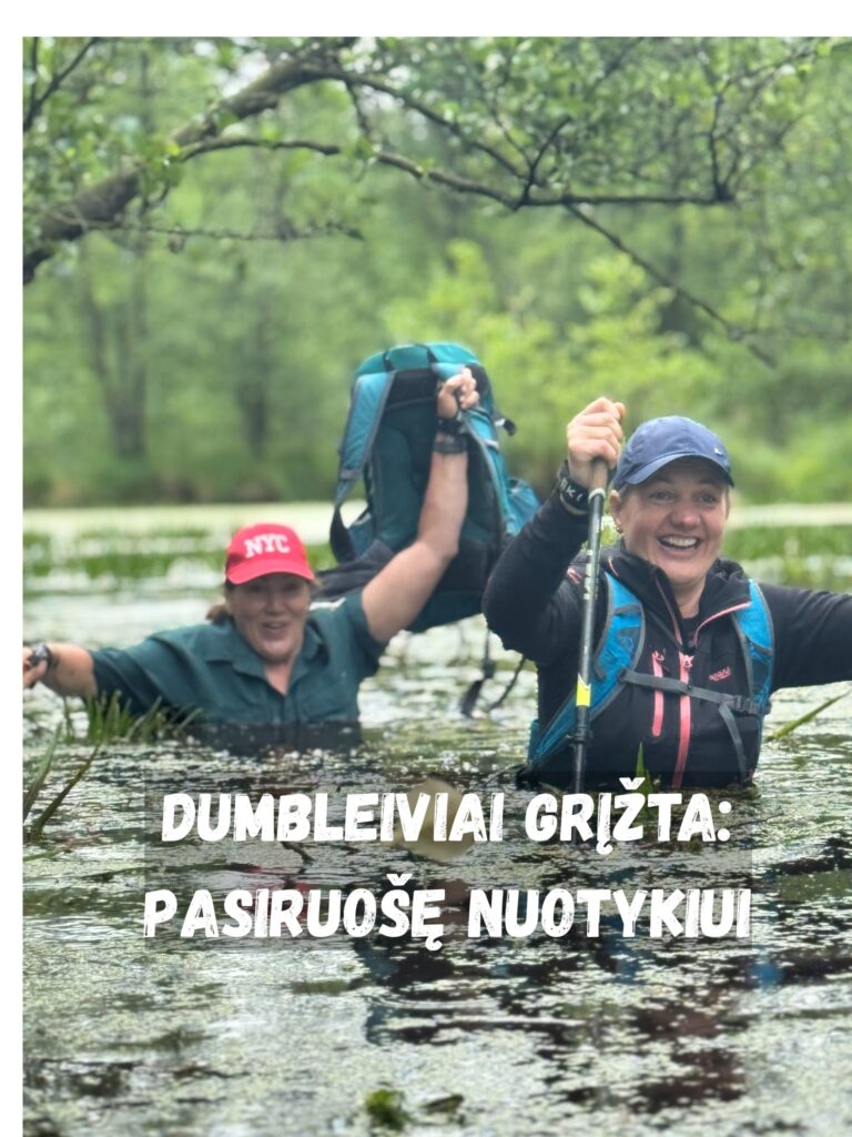 Lietuvos sporto klubai, centrai, bazės, užsiėmimai ir treneriai - viskas vienoje vietoje. Naujausia informacija apie klubus, klubų reitingai ir apžvalgos.